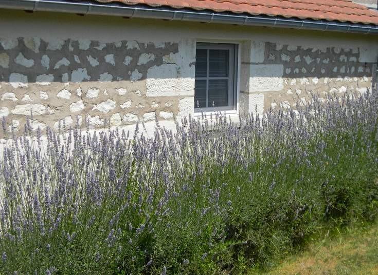 Gite - Chambres d'Hôtes Faverolles Faverolles  Extérieur photo